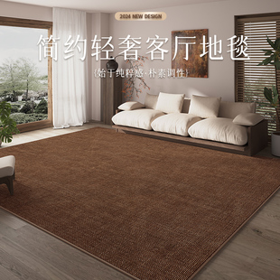 纯色免洗可擦卧室家用防水圈绒床边毯大面积全铺 客厅地毯2024新款
