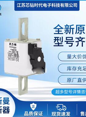 170M5744170M5745170M5746巴斯曼BUSSMANN快速熔断器保险丝