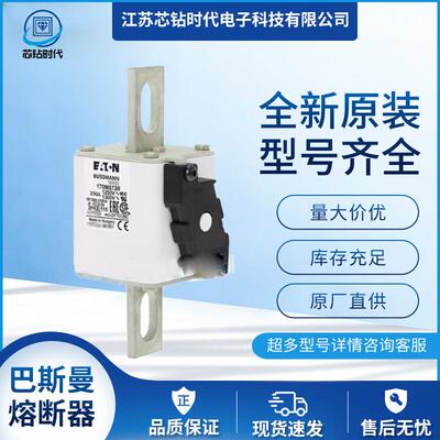 170M5738 170M5739 170M5740巴斯曼BUSSMANN快速熔断器保险丝