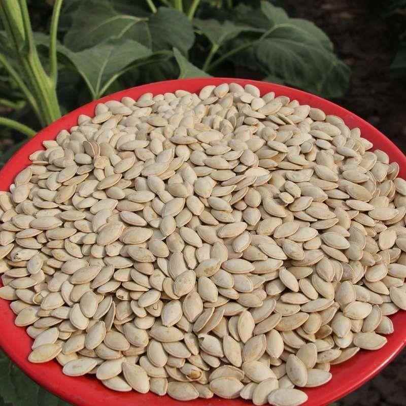 1-5斤价新货生熟南瓜子葵花籽瓜子仁零食椒盐原味熟白南瓜子