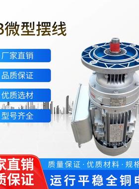 WB微型摆线针轮减速机WB100/65小型立式卧式减速电机变速箱齿轮箱