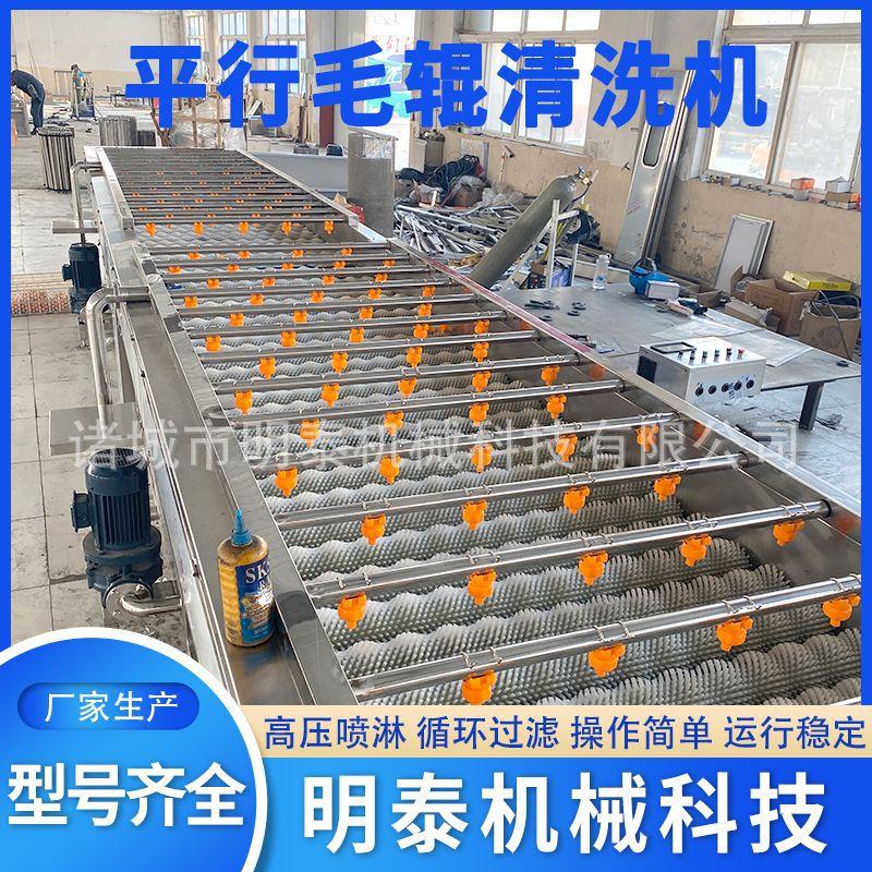 柚子平行毛辊清洗机海蛎子生蚝扇贝去杂设备脐橙沃柑毛刷洗果机