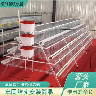 A型阶梯蛋鸡笼鸡笼镀锌三层四门阶梯蛋鸡笼养殖场用工厂直供可