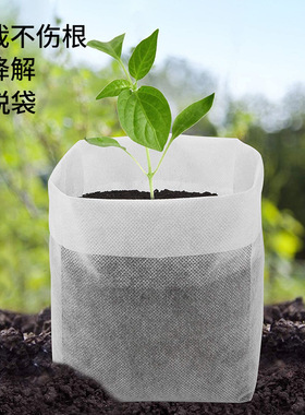 无纺布严选育苗育苗种植种植花瓶