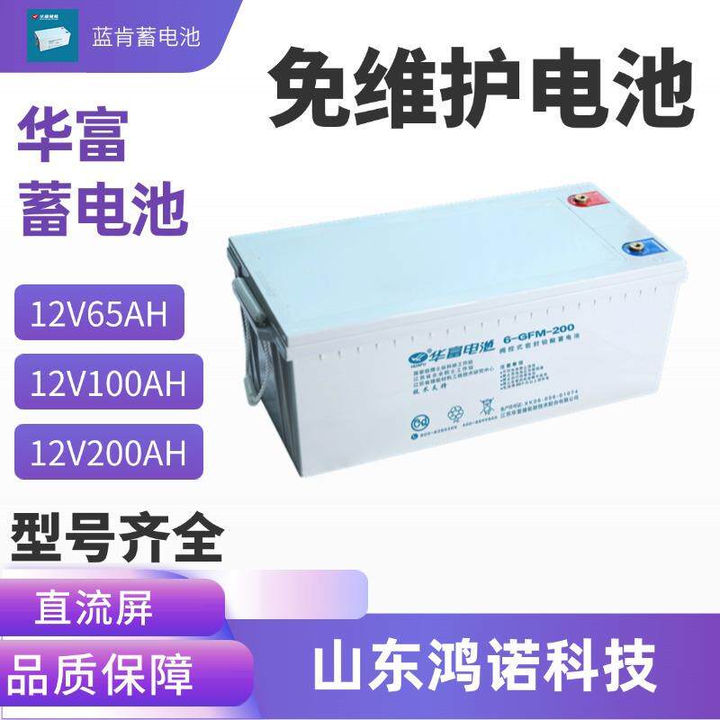 华富蓄电池6-GFM-100 12V100AH直流屏太阳能光伏用免维护储能