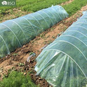 实心农纤用拱580棚璃玻蔬维杆现货小育苗棚家用支架菜小定制花卉