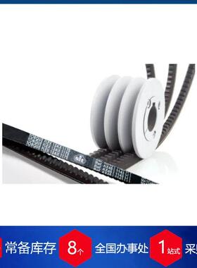 西班牙Dinamica同步皮带SIT TORQUE-FLEX