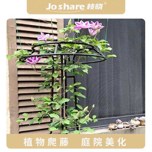 枝晓铁艺花架户外爬藤架庭院花园装饰爬藤架铁线莲月季蔷薇支架子