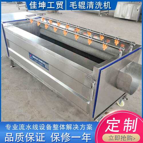 厂家供应生姜土豆清洗机毛辊清洗去杂机根茎类果蔬清洗