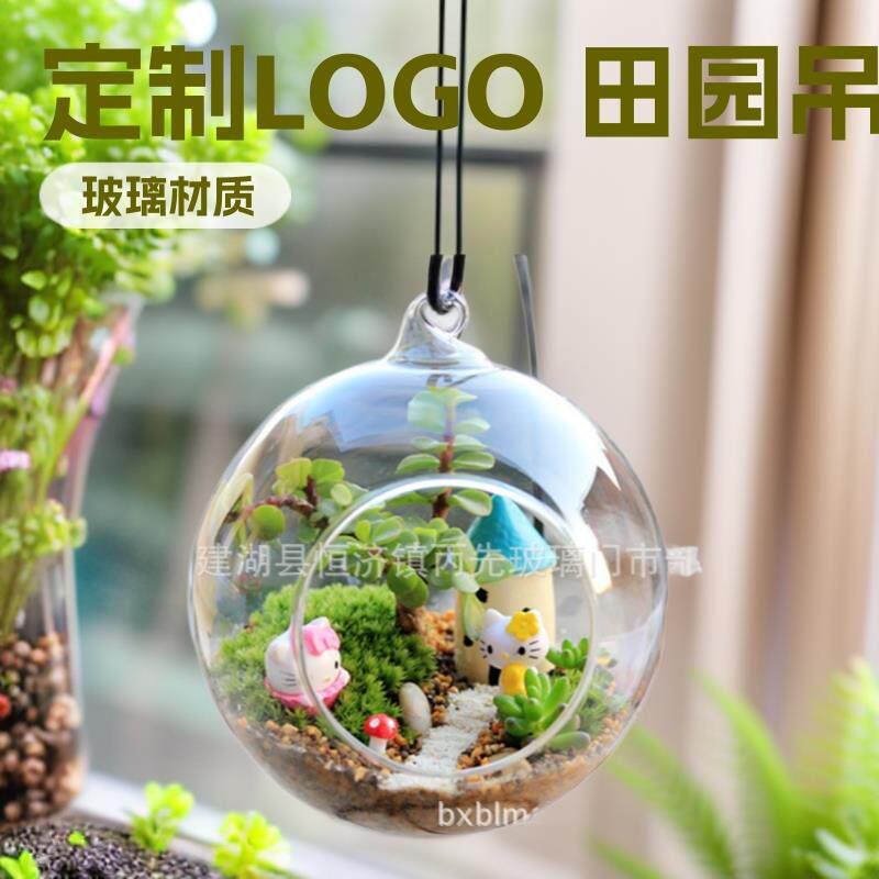 玻璃吊球悬挂景观玻璃瓶微景观造景生态瓶多肉植物苔藓瓶悬挂烛台