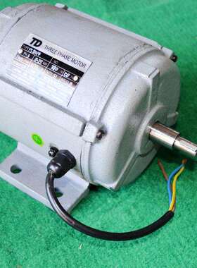 源头工厂 TD YS8014 硬度计电机380V 试验仪器电机