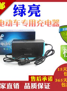 绿亮电动车专用充电器36V48V60V64V72V48V12AH绿亮适用充电器