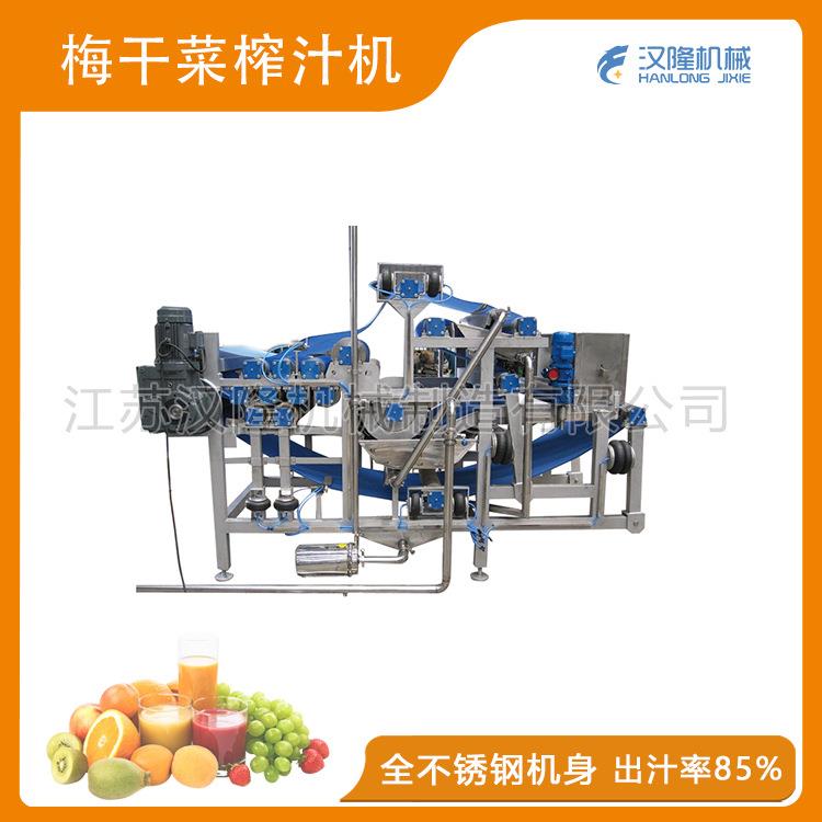 厂家直销大型工业果蔬商用梅干菜苹果石榴青苗豆腐榨菜带式榨汁机