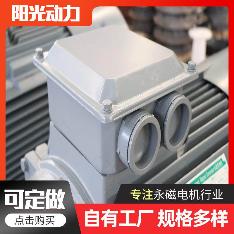 直驱永磁发电机交流永磁发电机10w低速无刷直驱大功率永磁发电机