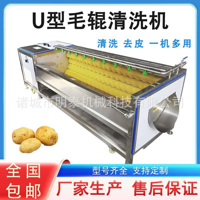 根芹U型毛辊清洗机土豆片清洗去皮机中药材清洗机地环毛刷清洗