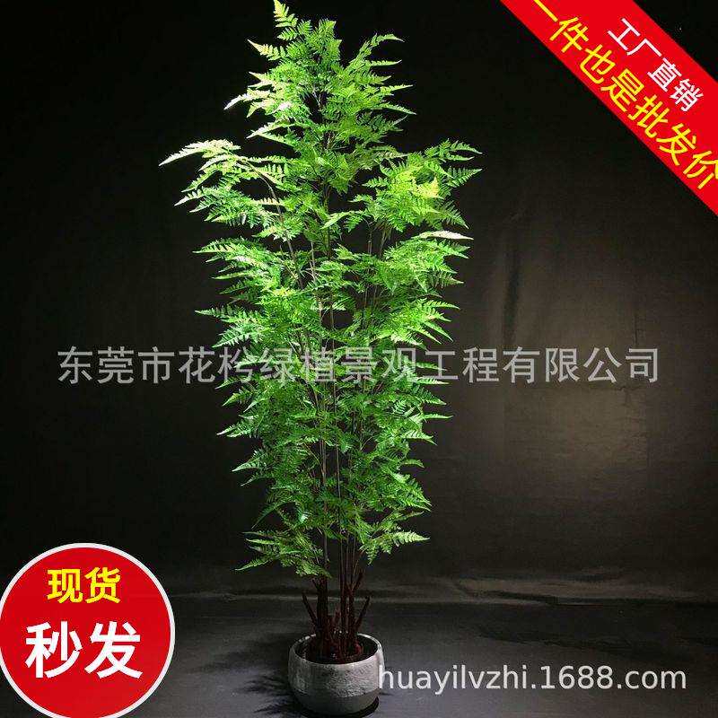 仿真蕨树马尾蕨草 仿真绿植 仿真波斯草树假树盆栽绿植物家居装饰