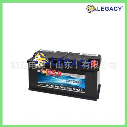 德国BSA蓄电池S62503408512V125AH海洋船舶应急发电机启动电瓶