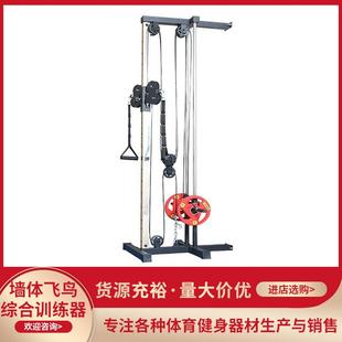 墙体大飞鸟小飞鸟下拉宽背肩夹胸肱三头肌综合健身肌肉训练器器械