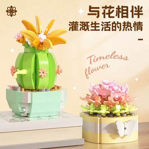 Flower Succulents Building Blocks Cactus Gypsophila Bonsai r