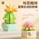 Blocks Building Cactus Gypsophila Flower Bonsai Succulents