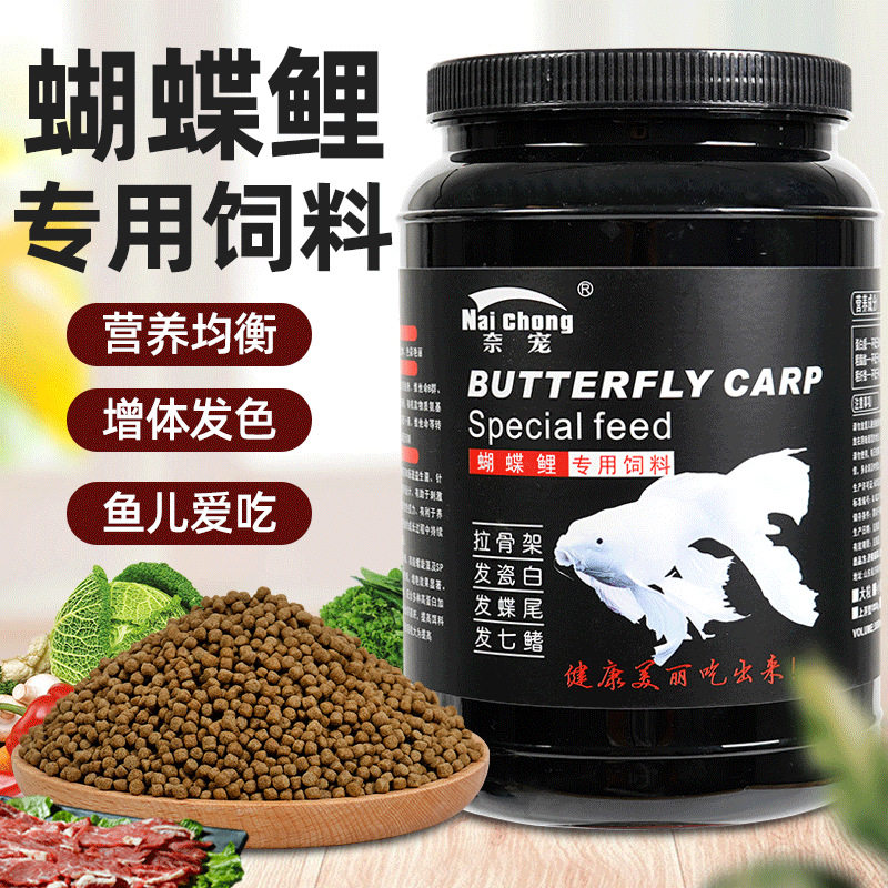 观赏鱼白金蝴蝶增白观赏鱼饲料