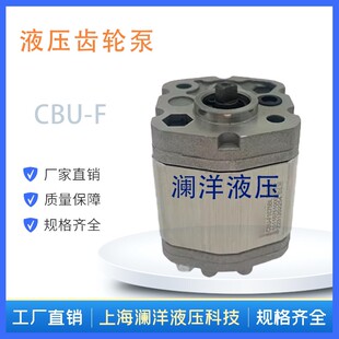 F1019 1200 F110 1125 130BL液压油泵CBU 齿轮泵CBU