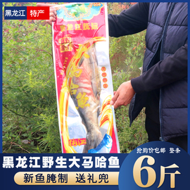 黑龙江大马哈鱼新鲜腌制抚远特产，纯江马哈鱼咸鱼新鲜整条6斤