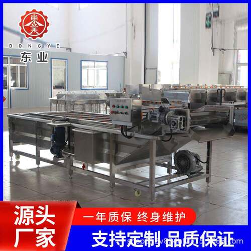 水果蔬菜清洗设备蔬菜清洗机蔬菜气泡清洗机