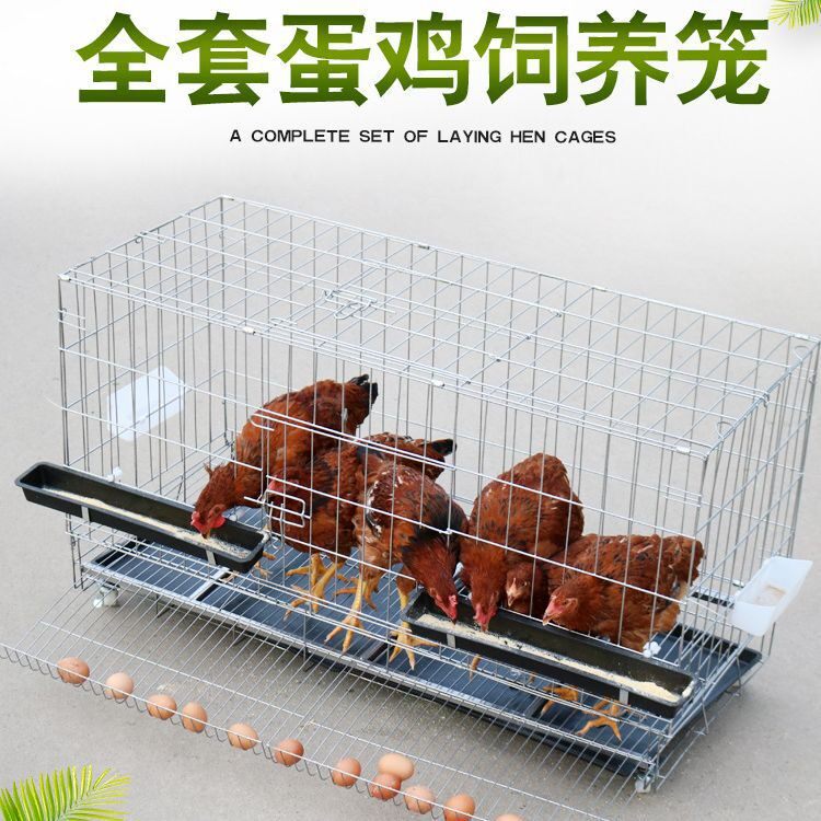 鸡笼滚蛋鸡笼加粗鸡笼子蛋鸡笼母鸡笼带蛋托鸡笼家用大笼子拍
