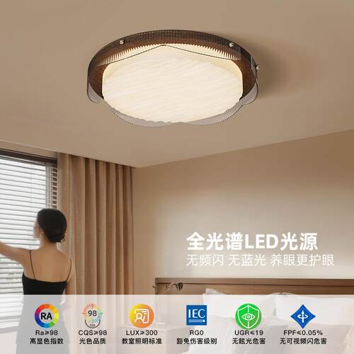 法式中古风客厅吸顶灯2025新款高端设计师款大厅主灯全屋灯具套餐