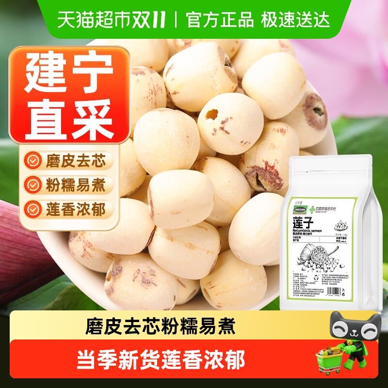 现货莲子羹福建建宁莲子干货特磨皮去芯产地直采新货中草药材级泡