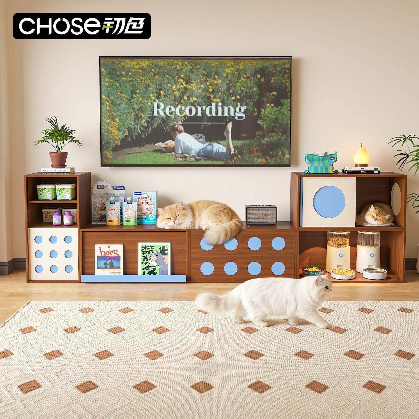 初色三合一猫房子中古风家具电视柜客厅2026新款宠物收纳储物一体