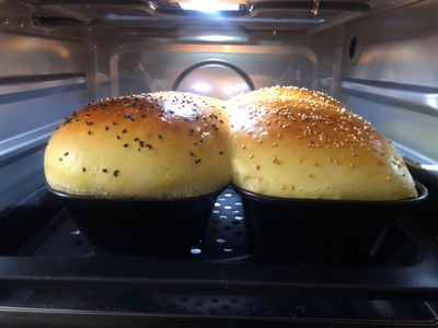 格兰仕D21蒸汽烤箱怎么样?体验一个月不吹不黑说优缺点