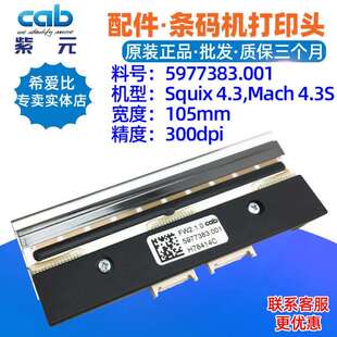 CABSquix4.3Mach4.3S300dpi打印头5977383.0015977321热敏头