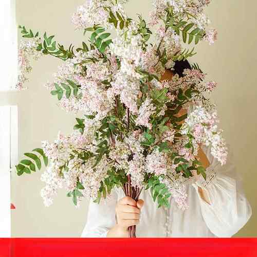 梵砂槐花仿真花高级感逼真假花装饰陶瓷水培花瓶摆件客厅插花干花