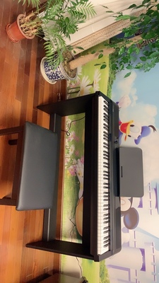 TheONE智能钢琴怎么样?诉说音质严重失真,是真假呢?