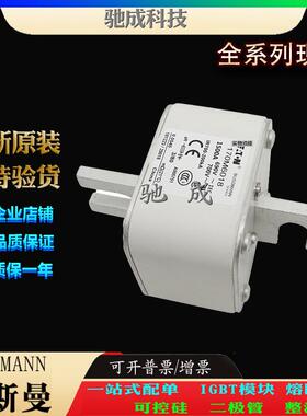 巴斯曼170M6017 170M6018 170M6019 厂家供货厂价直供 紧凑熔断器