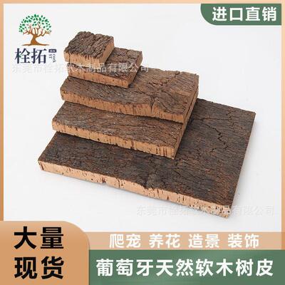 葡萄牙天然软木树皮香槟树皮板植爬宠装饰树皮橡木树皮