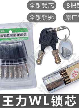 B级王力WL防盗门超C级双面叶片全铜锁芯9齿轮特能圆形碰碰安全门