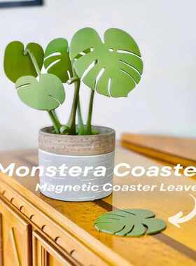 磁铁垫垫工厂龟背竹家居代发带杯杯直供植物的