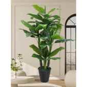 饰客厅大型 豪华植物景观室内装 模拟绿色植物摇钱树优雅 可接近