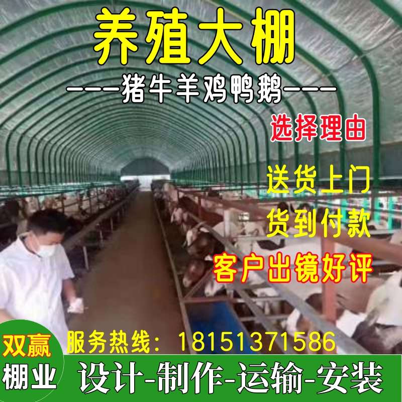 养殖大棚钢管骨架简易牛棚羊圈猪舍鸡鸭鹅大棚架蔬菜连体大棚全套