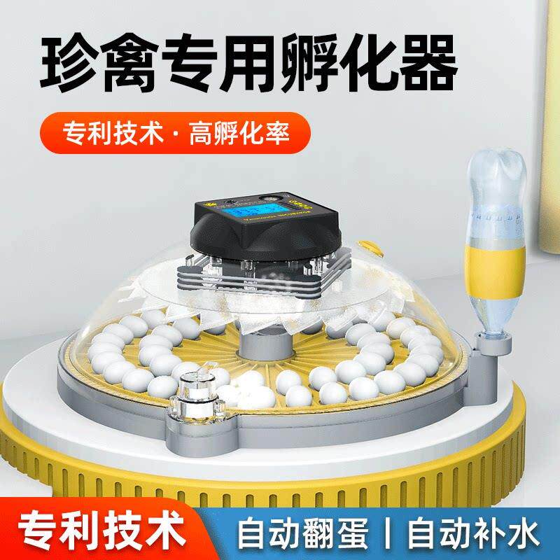 孵化器小型家用芦丁鸡孵化小飞碟孵蛋器柯尔鸭智能鹦鹉鸟蛋孵化箱