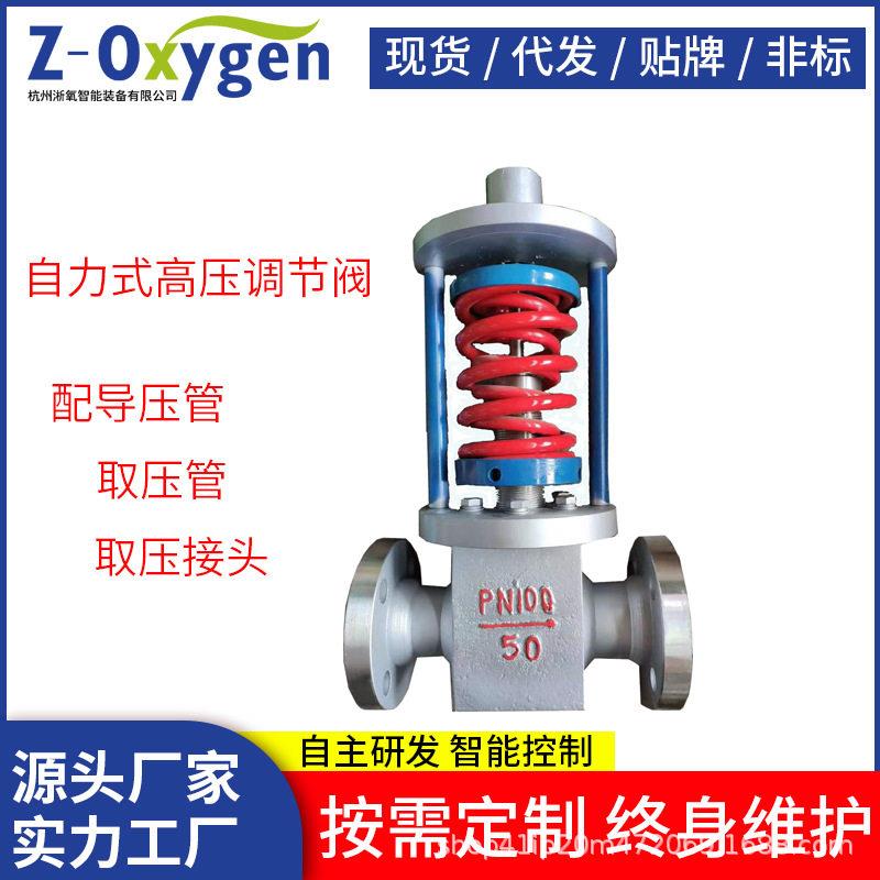 国标美标非标自力式压温调节阀导热油蒸汽压力流量温度控制阀