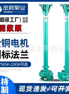 NL系列泥浆泵污水泵工业排污泵离心排污泵立式泥浆泵直销