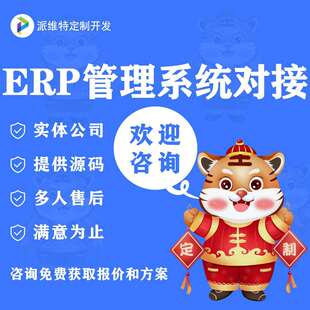 ERP管理系统对接API接口大数据交互制作电商平台开发