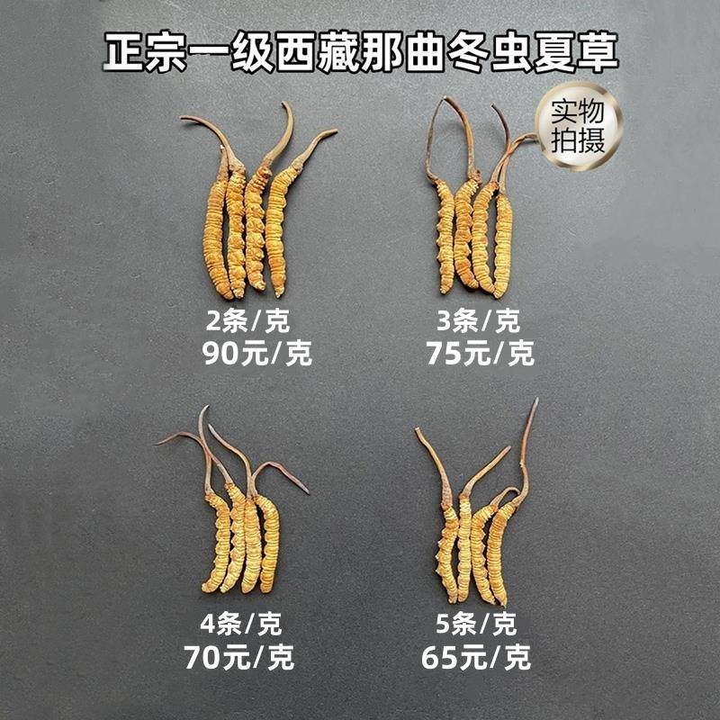 新草西藏那曲冬虫夏草正品头期虫草 青海玉树干货无断虫草礼盒装