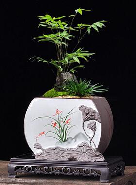 中国风家用室内桌面文竹专用大号蝴蝶兰花小榕树紫砂陶瓷多肉花盆