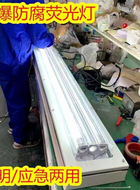 供应腾达双管防爆防腐全塑荧光灯照明应急两用型30wled灯