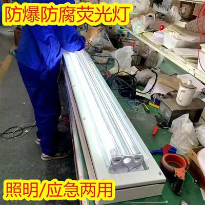 供应腾达双管防爆防腐全塑荧光灯照明应急两用型30wled灯